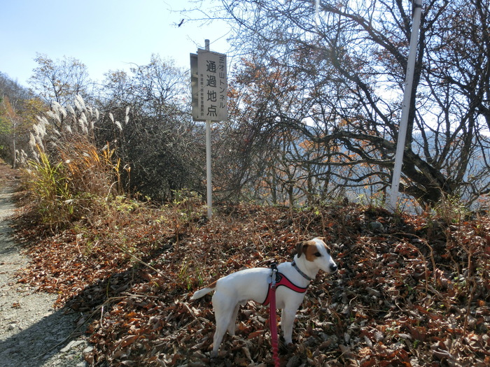 c0140260_2258286.jpg