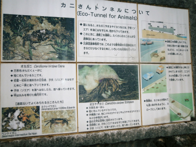 c0180460_273590.jpg
