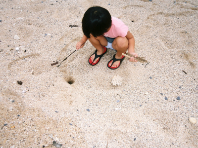 c0180460_284274.jpg