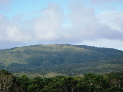 c0180460_38137.jpg