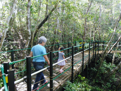 c0180460_38468.jpg