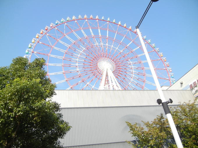 ’13,11,7(木)昨日は東京見物に行ったよ!_f0060461_142693.jpg