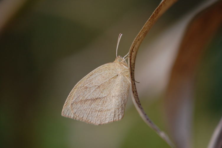 b0167762_22145672.jpg