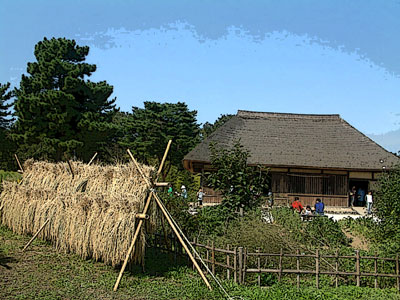 c0050264_11152227.jpg