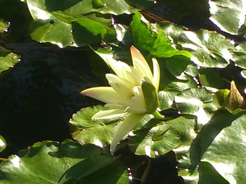 c0100865_02195.jpg