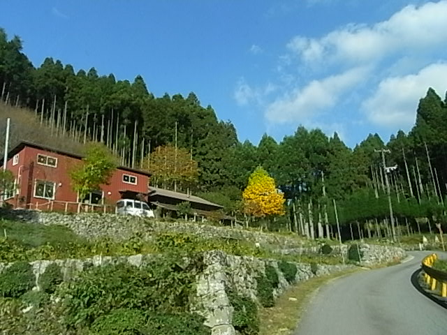 a0146070_6285616.jpg