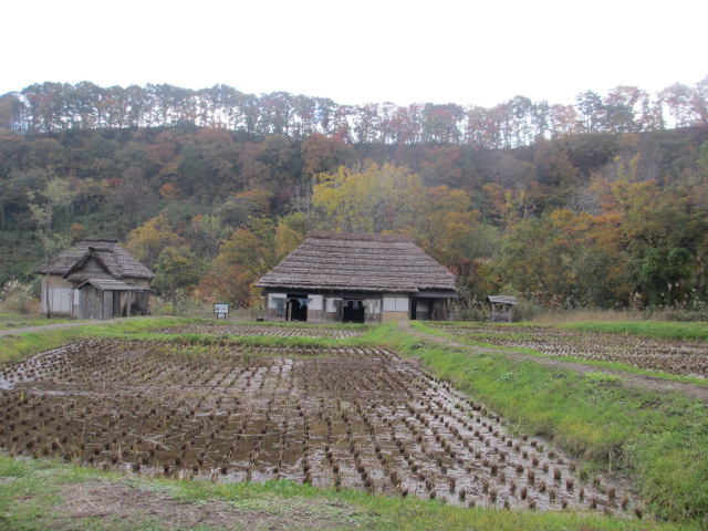 山形酒田・湯野浜温泉　その2_e0106372_8462819.jpg