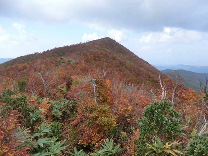 b0185573_6474313.jpg
