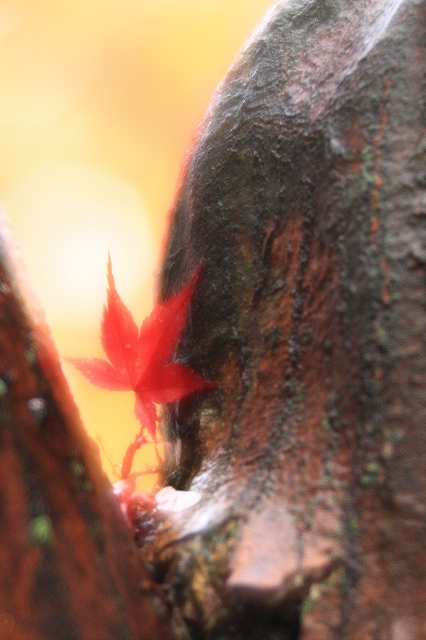 e0213873_1712247.jpg