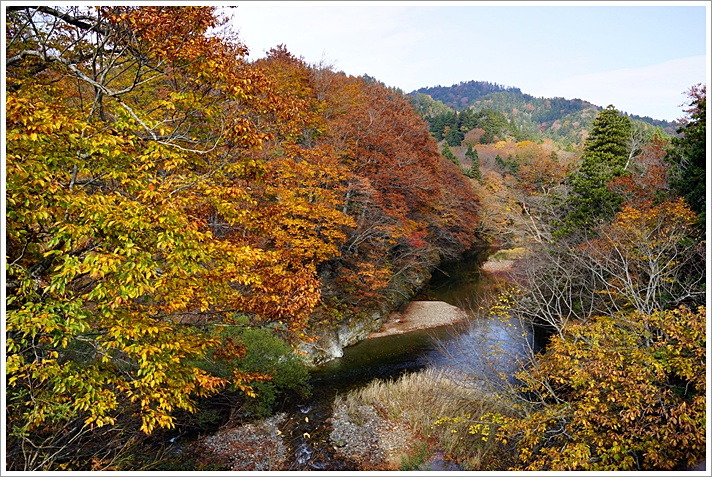 　◇　きょうは立冬　　　　　　　　　　　　　　　　　2013.11.07_a0126676_1714242.jpg