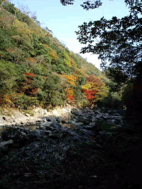 c0228378_16585711.jpg
