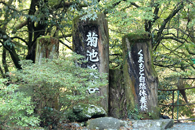 c0152779_12121037.jpg