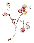 d0148980_1745482.gif