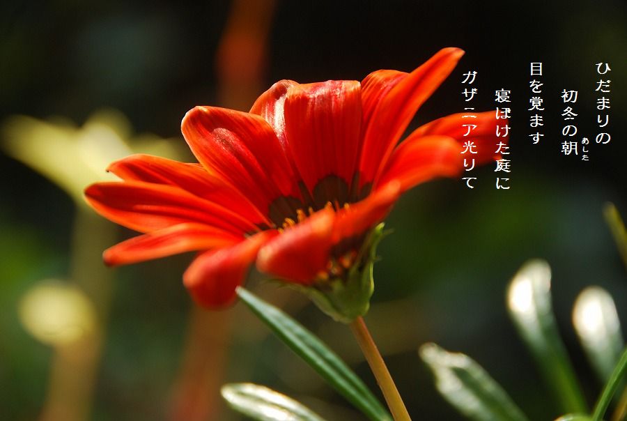 c0187781_9572338.jpg