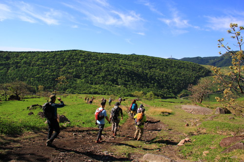 由布岳　～2013年山開き～_b0286982_2350123.jpg