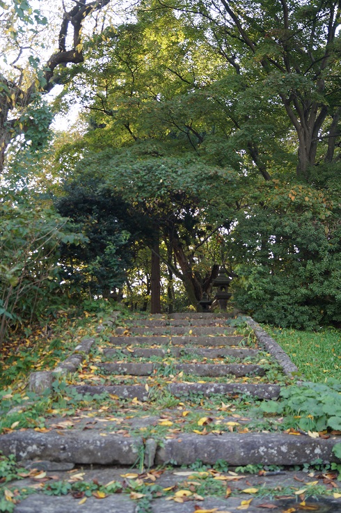 d0129083_13345386.jpg