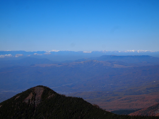 裏山に登る_e0008887_1093380.jpg