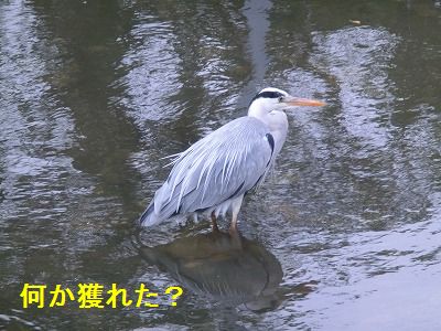 e0222588_164719.jpg