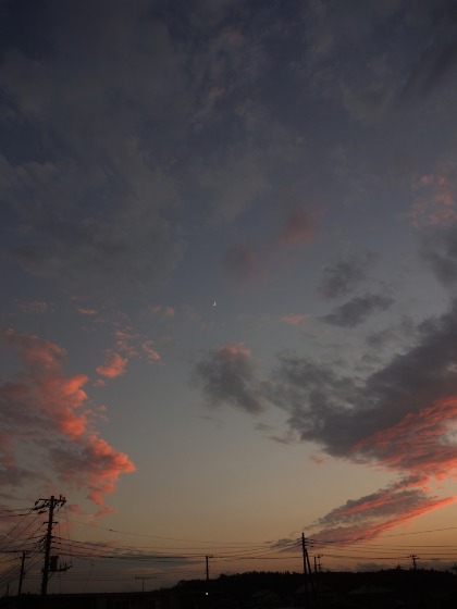 d0021491_22383015.jpg