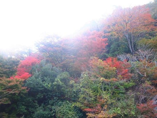 キンシュ~2_d0087595_21542971.jpg