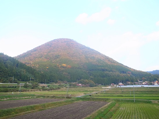 キンシュ~2_d0087595_2154833.jpg