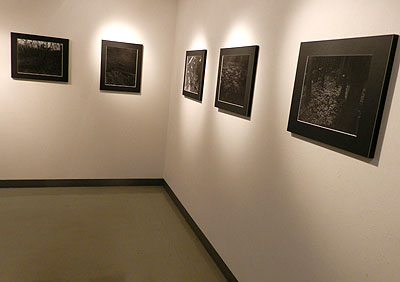 〜11/12 金曜会第1回集団<写真>展ー霧の丘ー_f0106896_14501694.jpg