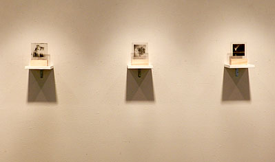 〜11/12 金曜会第1回集団<写真>展ー霧の丘ー_f0106896_1451181.jpg