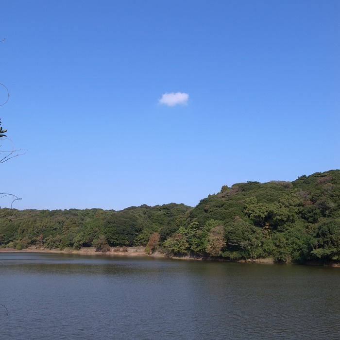c0049299_937271.jpg