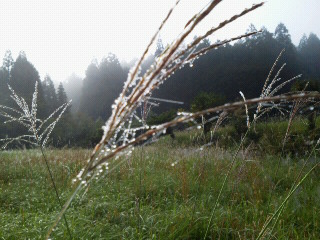 c0272200_12271136.jpg