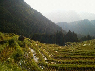 c0272200_1233182.jpg