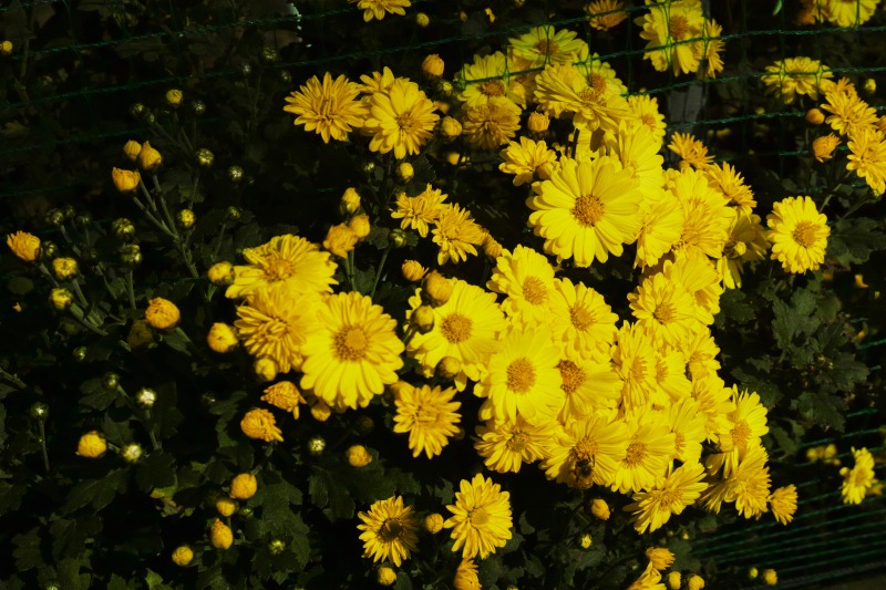 f0224100_6102348.jpg