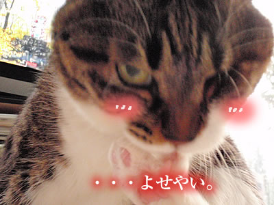 c0035001_16202334.jpg