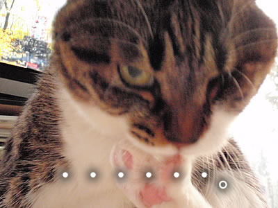 c0035001_16204053.jpg