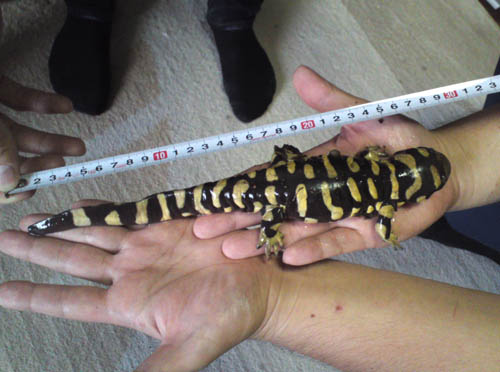 c0165803_1343464.jpg
