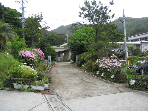 d0230507_8555166.jpg
