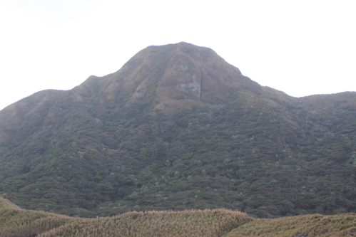 d0230507_93017.jpg