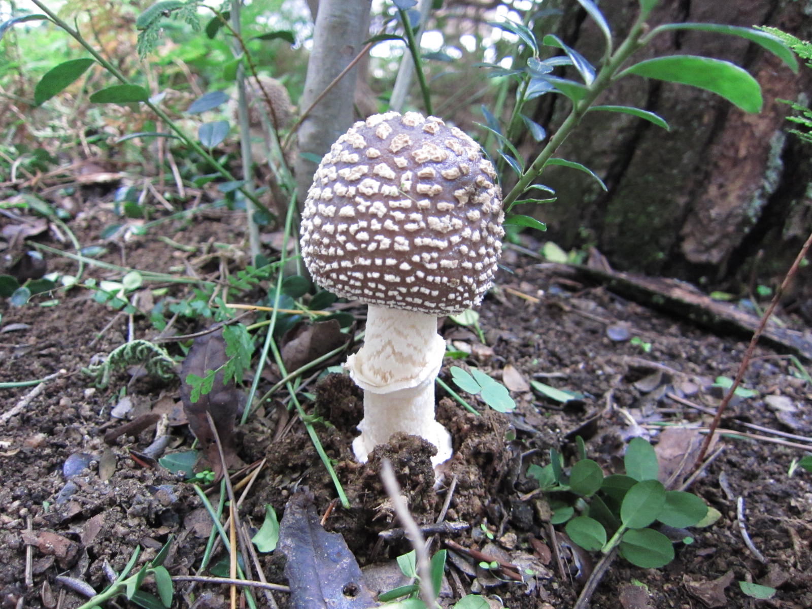 b0194908_5191279.jpg