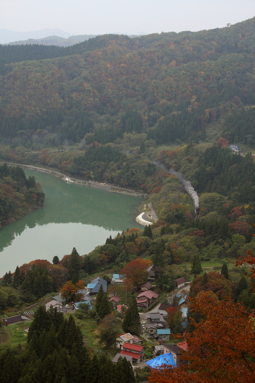 b0190710_714977.jpg