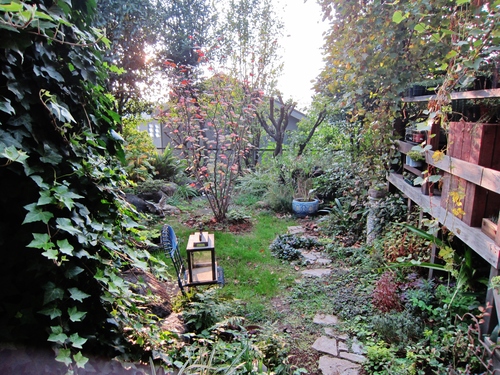 d0179410_224256.jpg