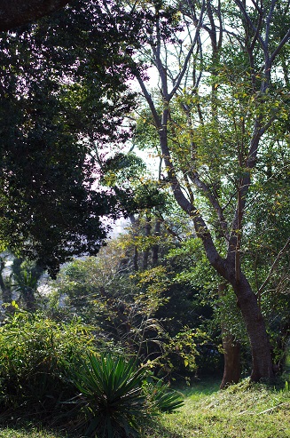 e0290310_23535535.jpg