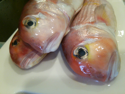 甘鯛 チリ蒸し _f0157910_1138517.jpg