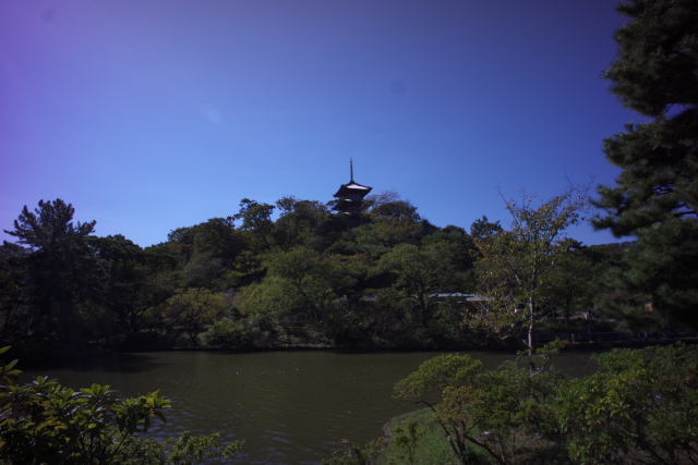 d0143011_2134061.jpg