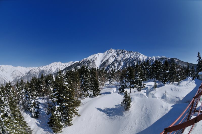 e0217511_105339.jpg