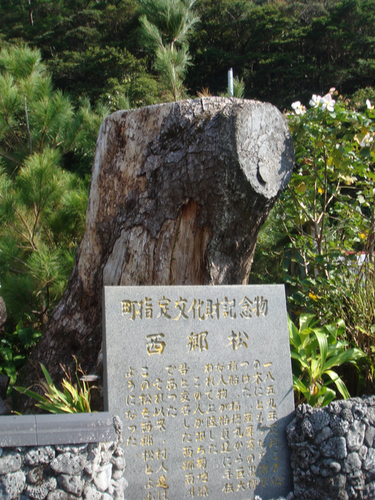 a0019212_2195617.jpg