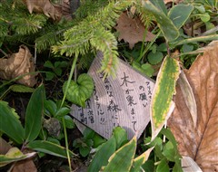 c0173813_12144224.jpg