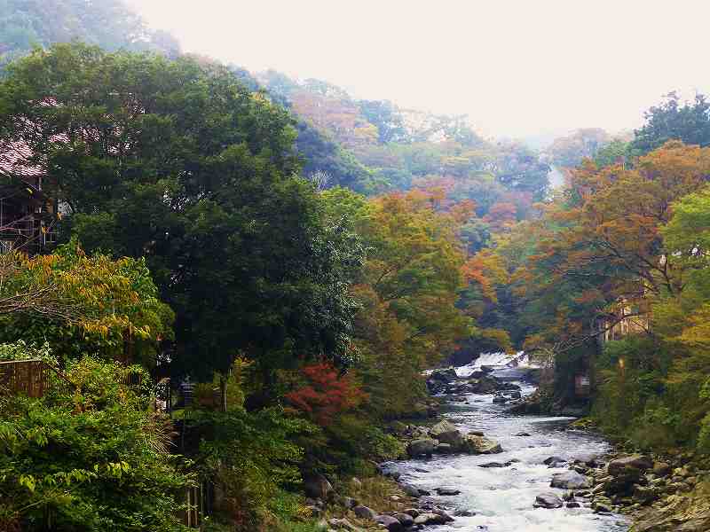 f0182513_2055551.jpg