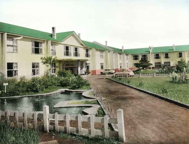 e0062415_1746644.jpg