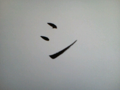 c0280016_1327274.jpg