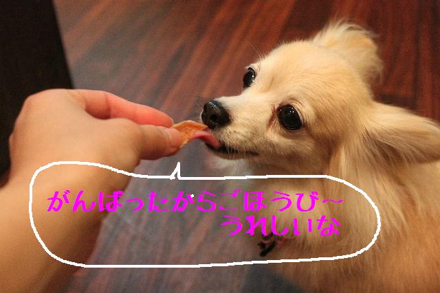 寒いですね！！_b0130018_1764715.jpg