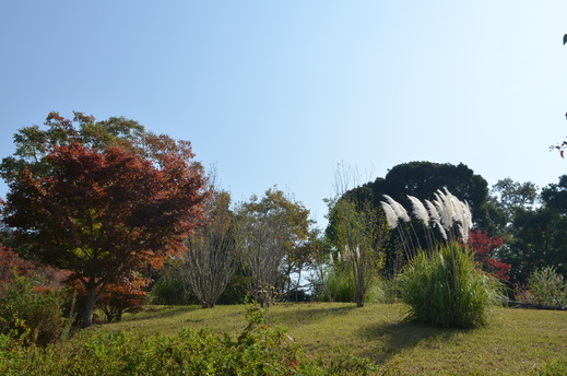 e0135518_1644235.jpg